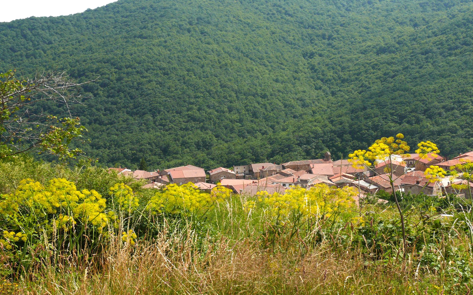 Brañosera Palencia Turismo